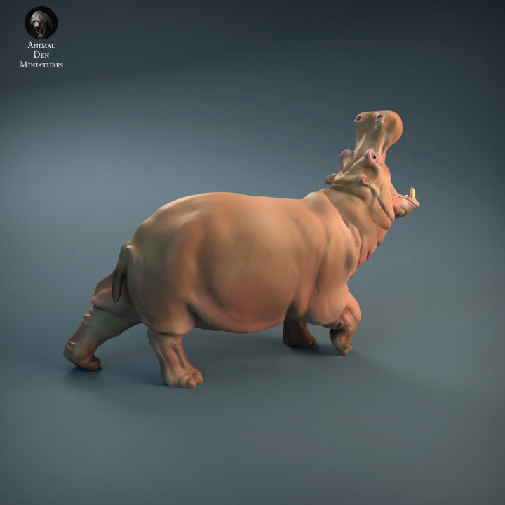 Angry Hippo