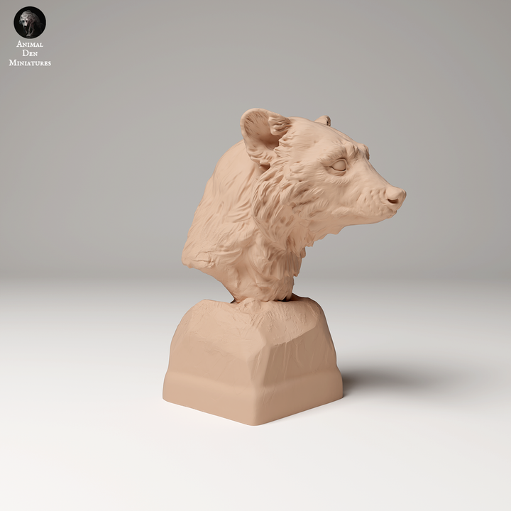 Common Raccoon Bust
