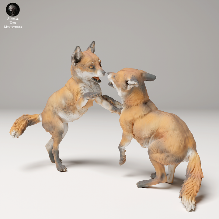 Red Fox Puppies
