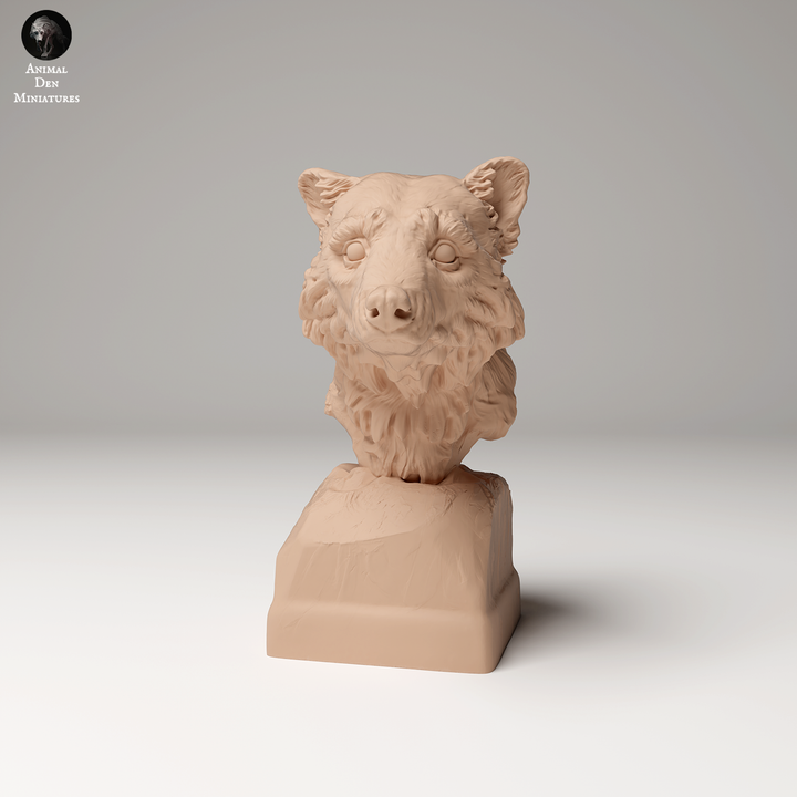 Common Raccoon Bust