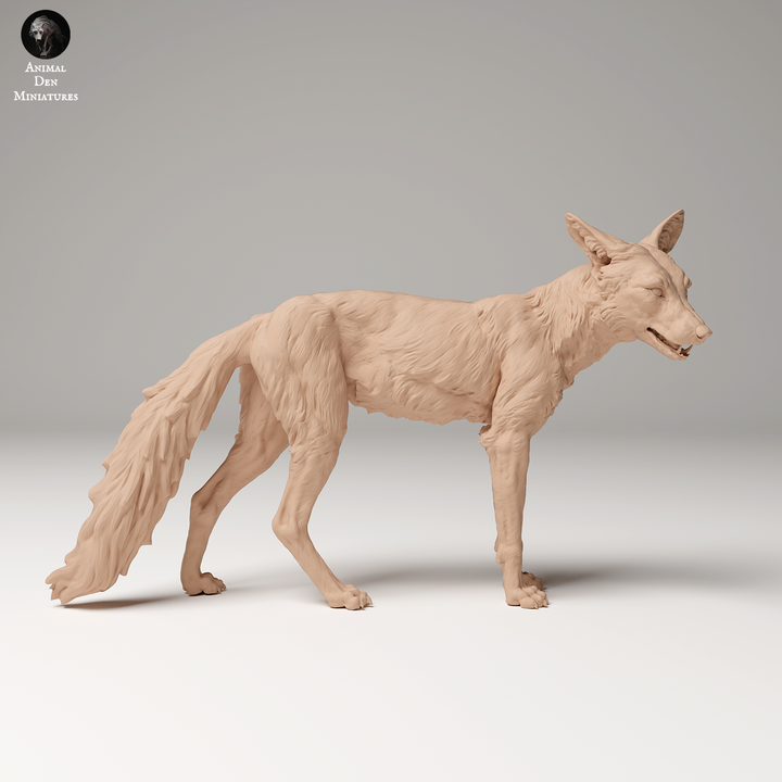 Red Fox