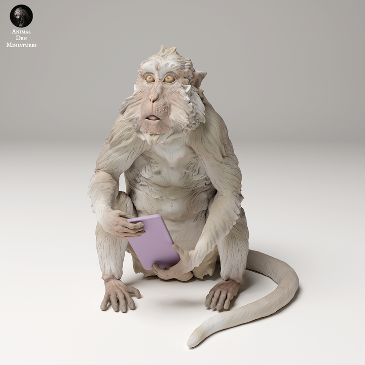 Crab-eating Macaque steals Phone