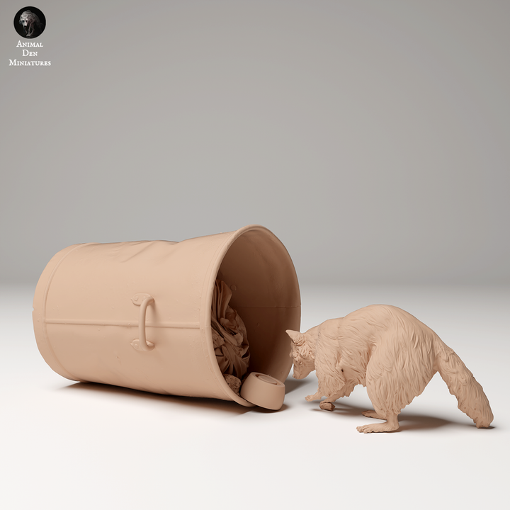 Common Raccoon Digging Through Trash