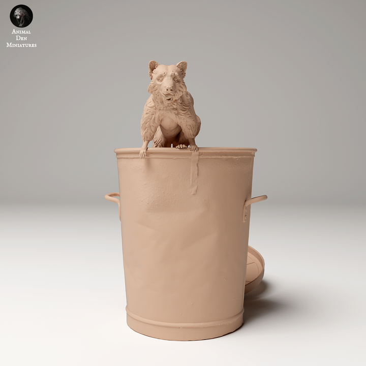 Common Raccoon in Trash