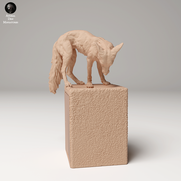Red Fox on Trash