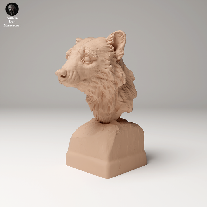 Common Raccoon Bust