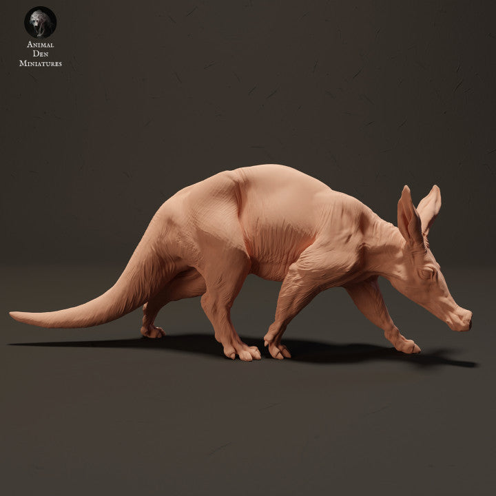 Aardvark