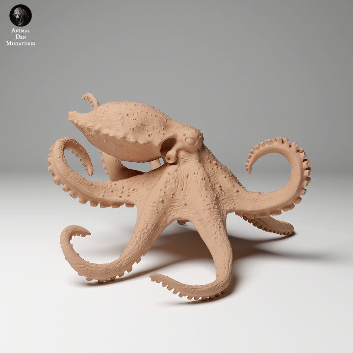 Greater Blue-Ringed Octopus Swim