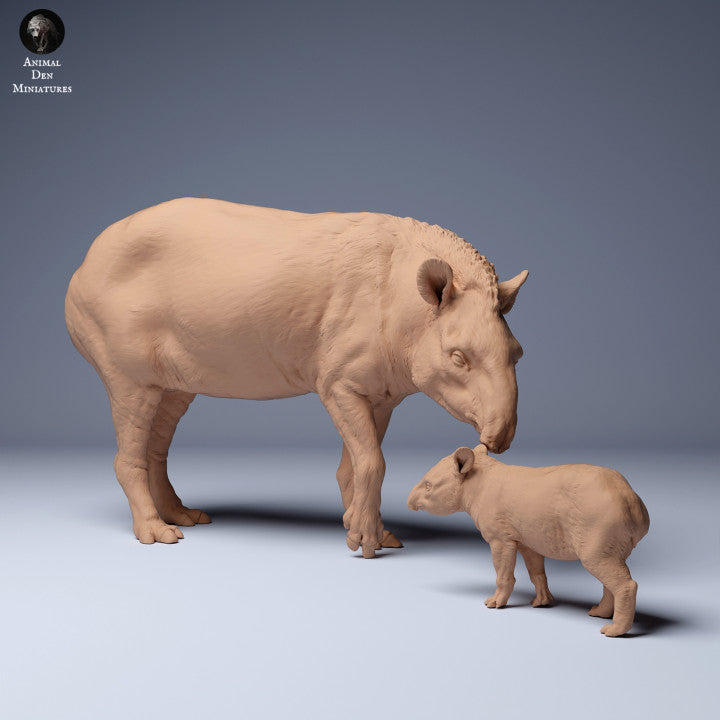 Brazilian tapir (Tapirus terrestris) Female and Calf