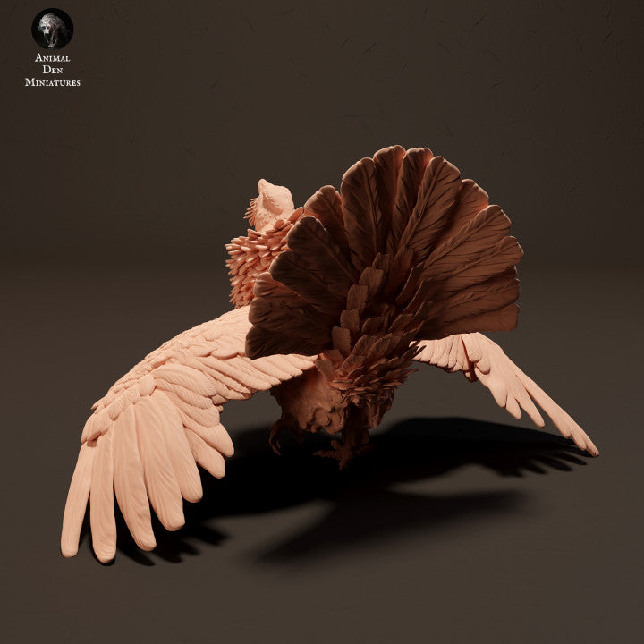 Capercaillie