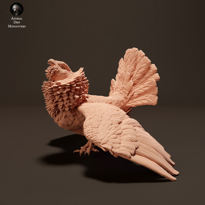Capercaillie