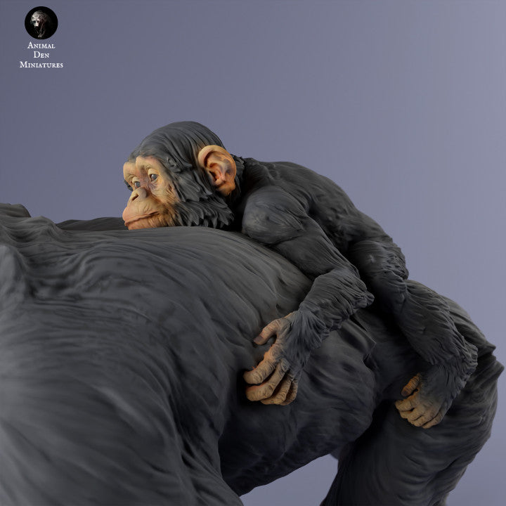 Common Chimpanzee Female with Infant