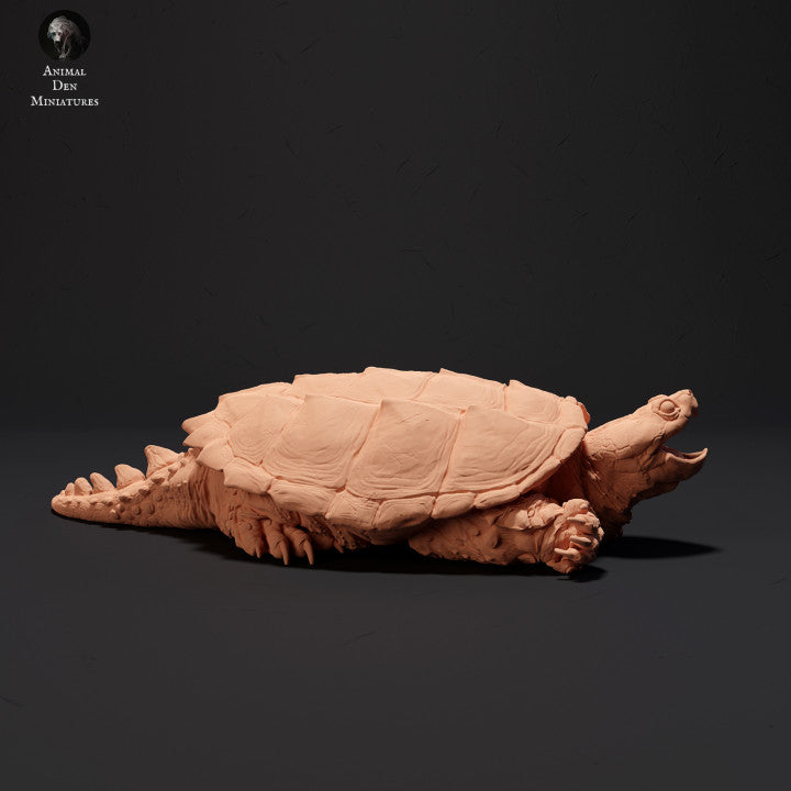 Common Snapping Turtle Aggressive
