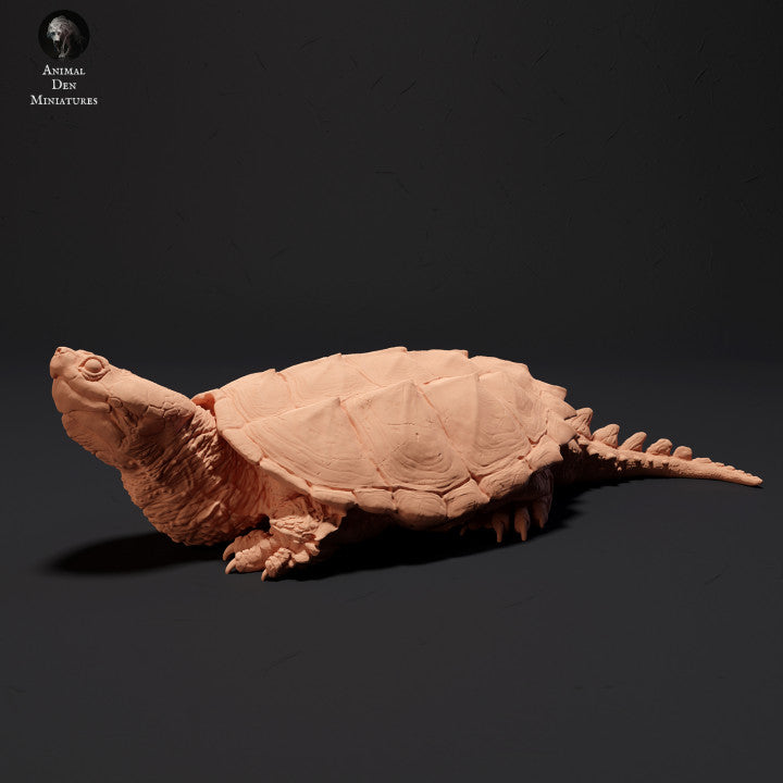 Common Snapping Turtle Sunbathing
