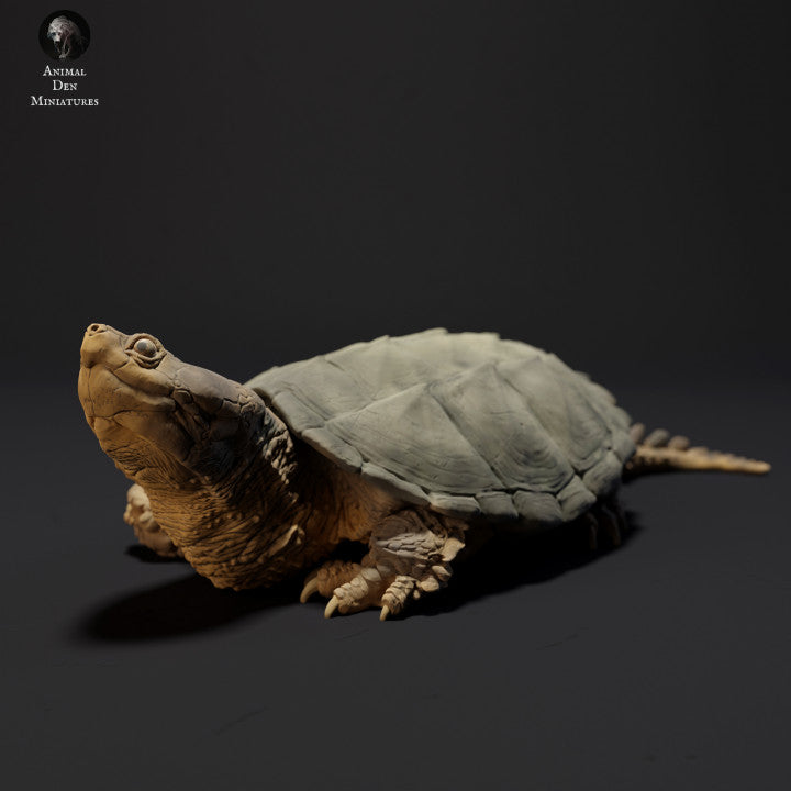 Common Snapping Turtle Sunbathing