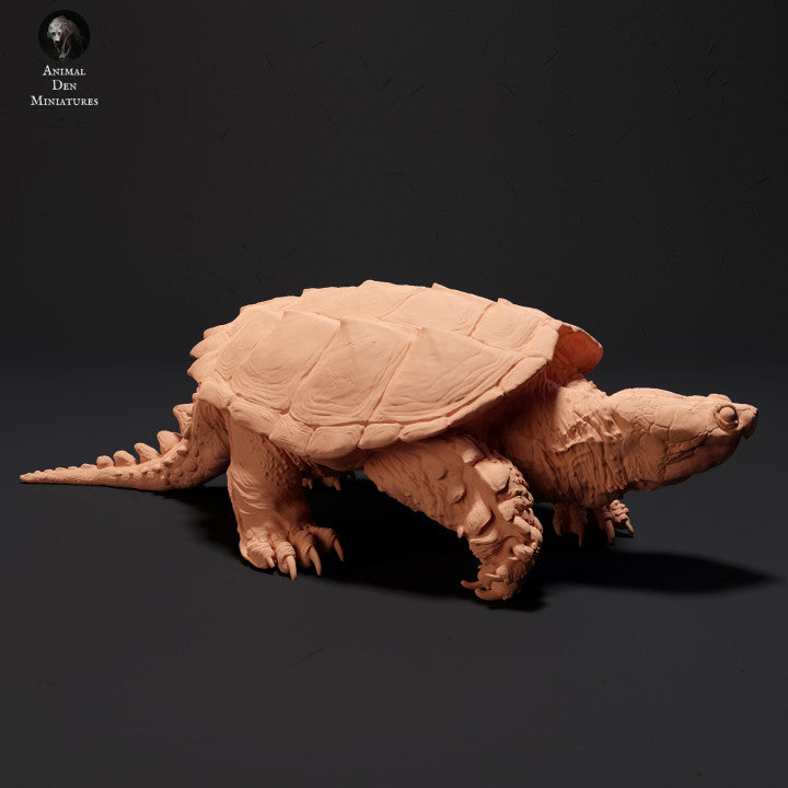 Common Snapping Turtle Walking