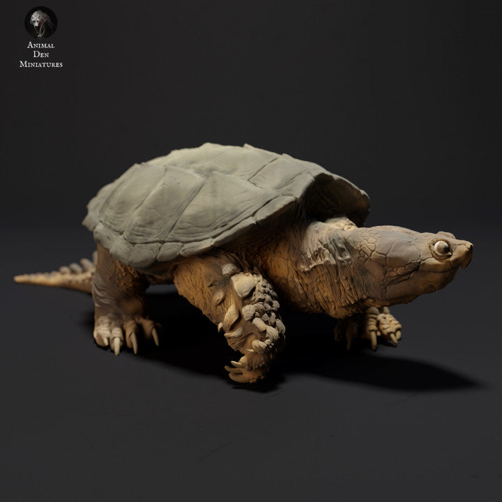 Common Snapping Turtle Walking