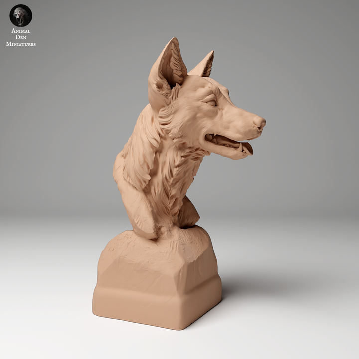 Dingo Bust