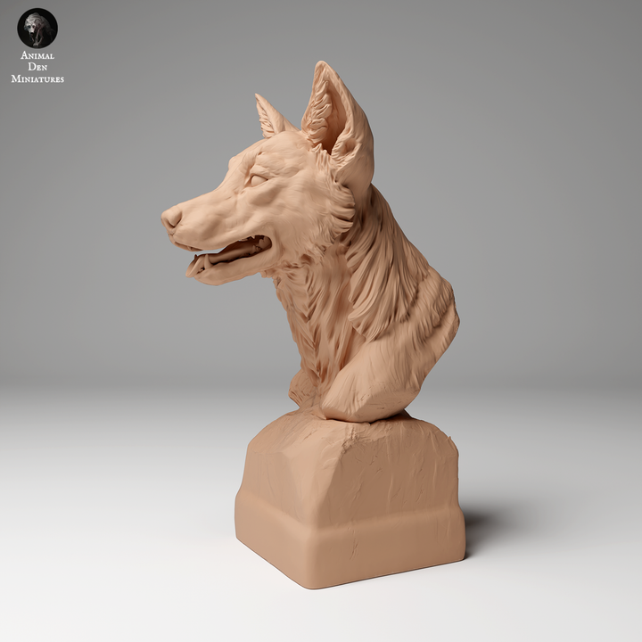 Dingo Bust