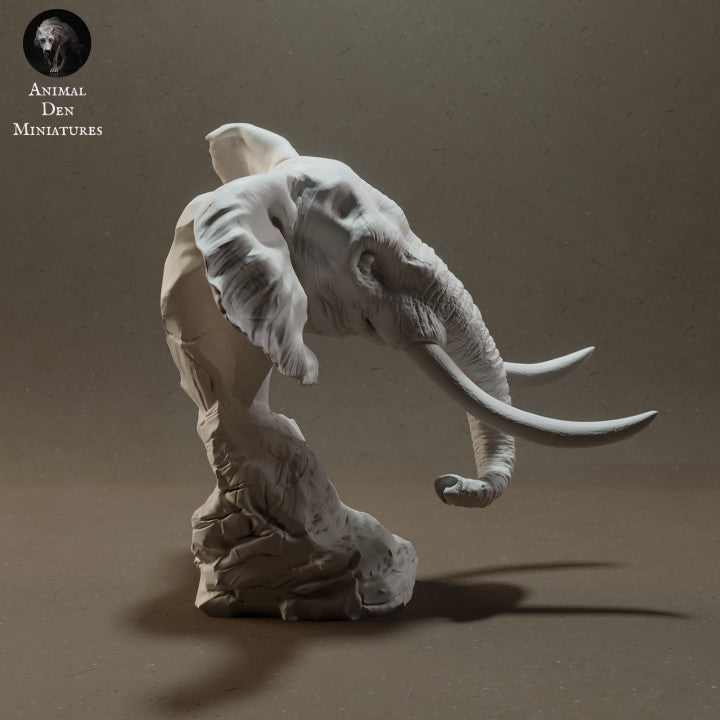 1/48 Scale African Bush Elephant Bust