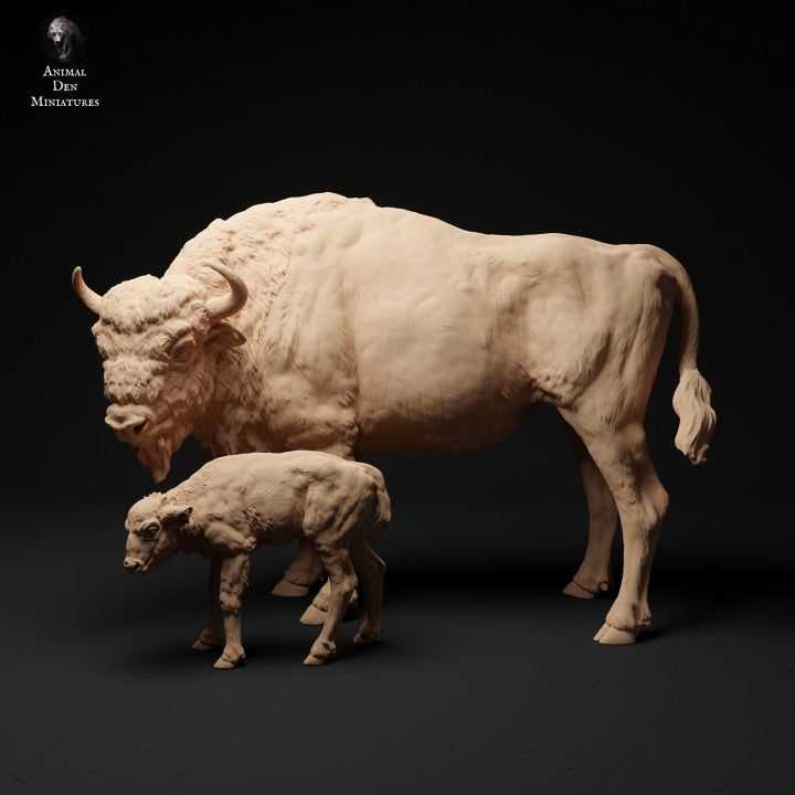European Bison Cow and Calf