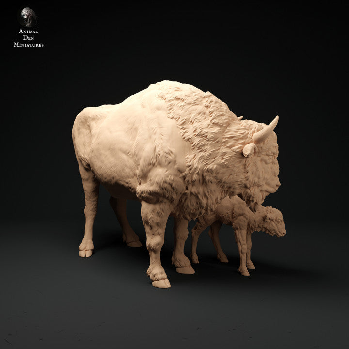 European Bison Cow and Calf
