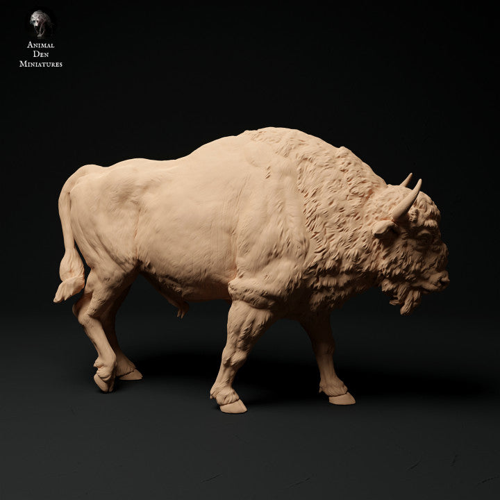 European Bison
