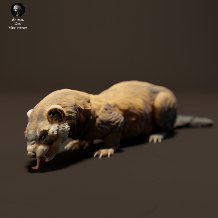 European Polecat Eating