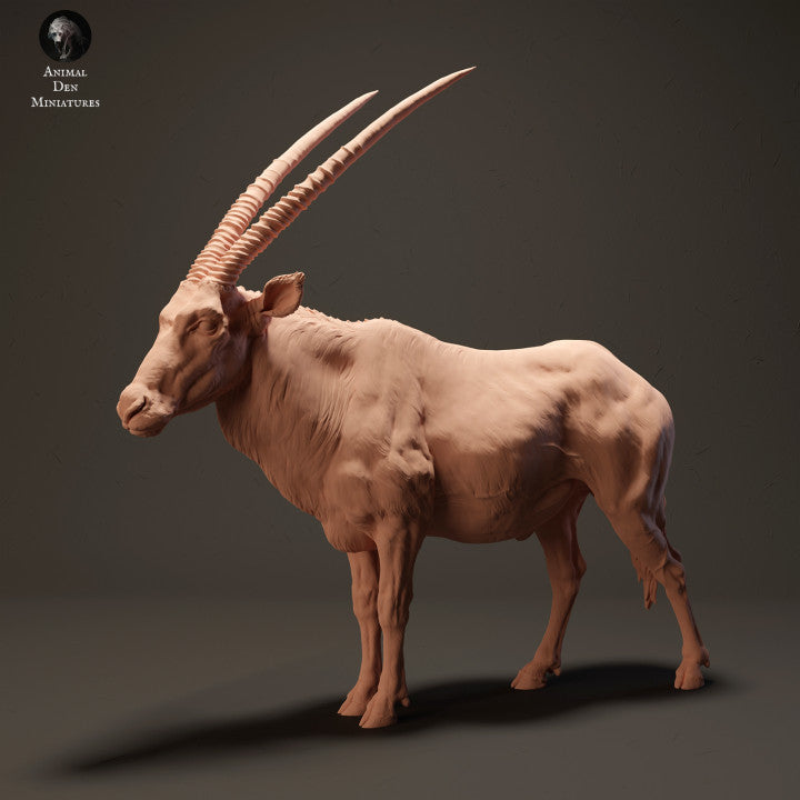 Gemsbok