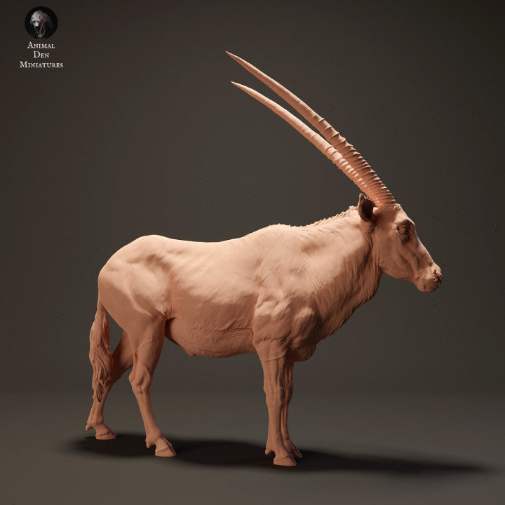 Gemsbok