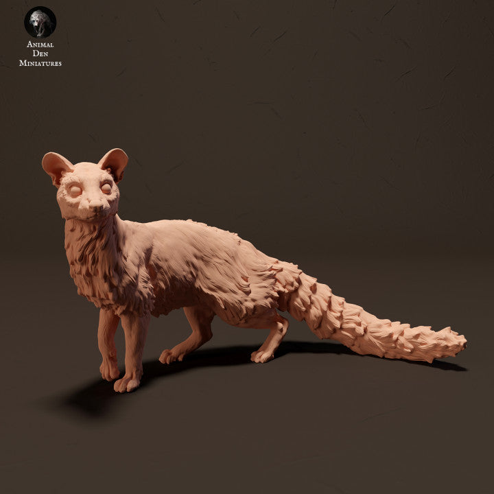 Common Genet