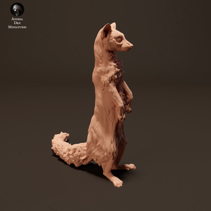 Common Genet Standing
