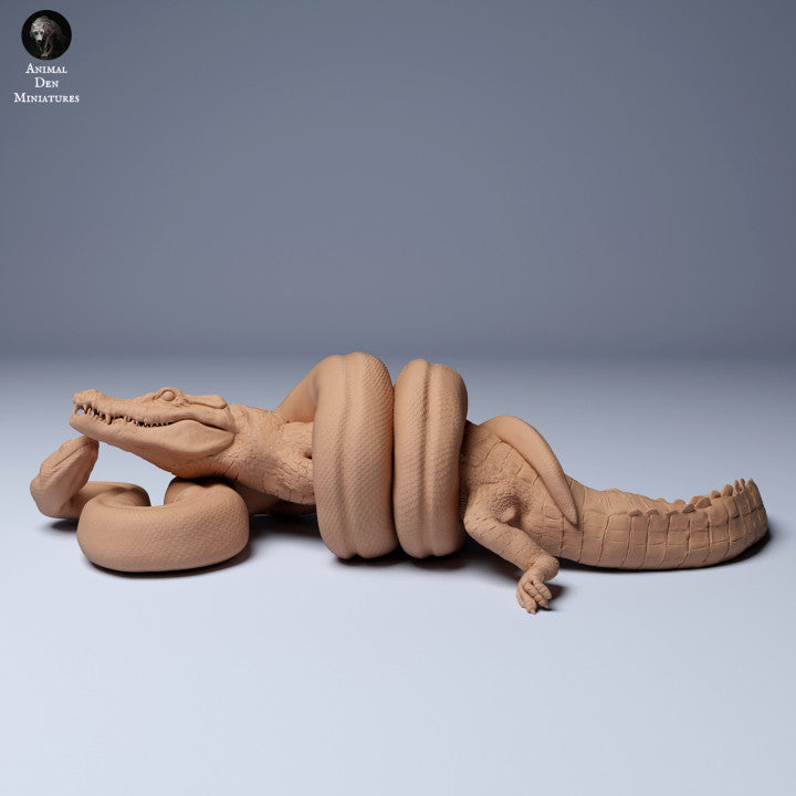 Green Anaconda (Eunectes murinus) vs Black Caiman (Melanosuchus niger)