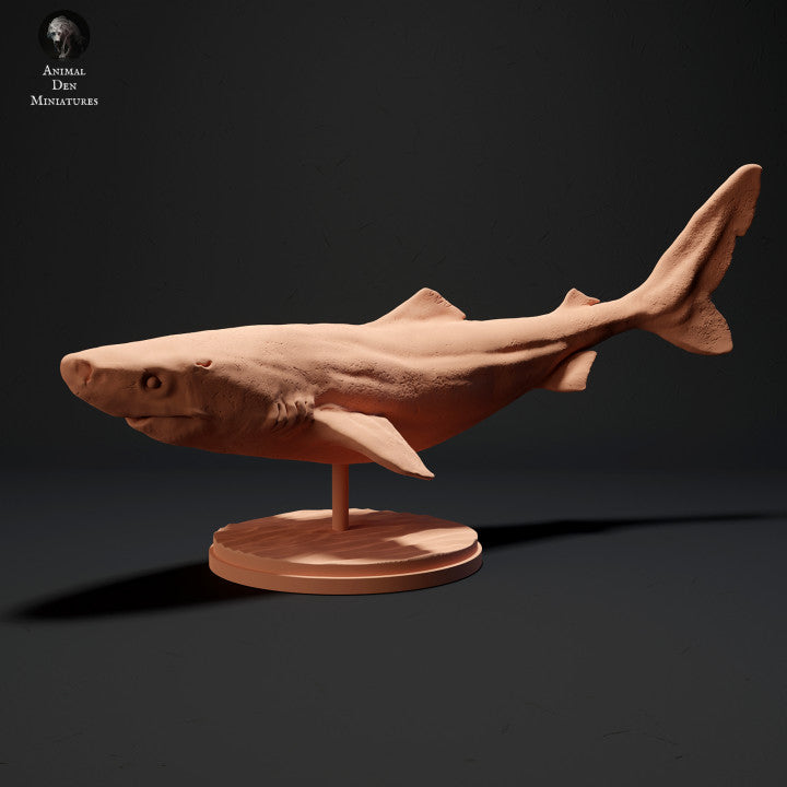 Greenland Shark