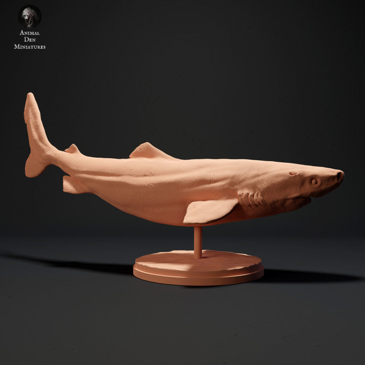 Greenland Shark