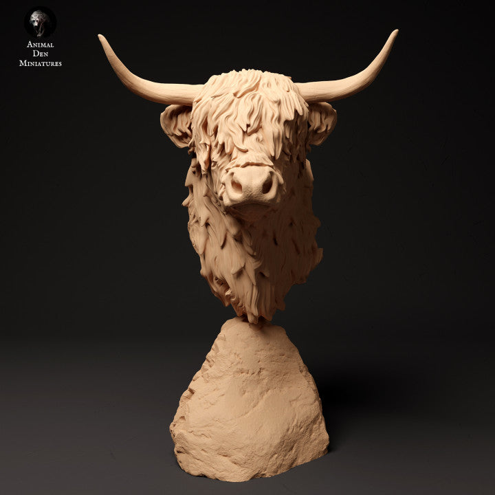 Highland Cow Bust