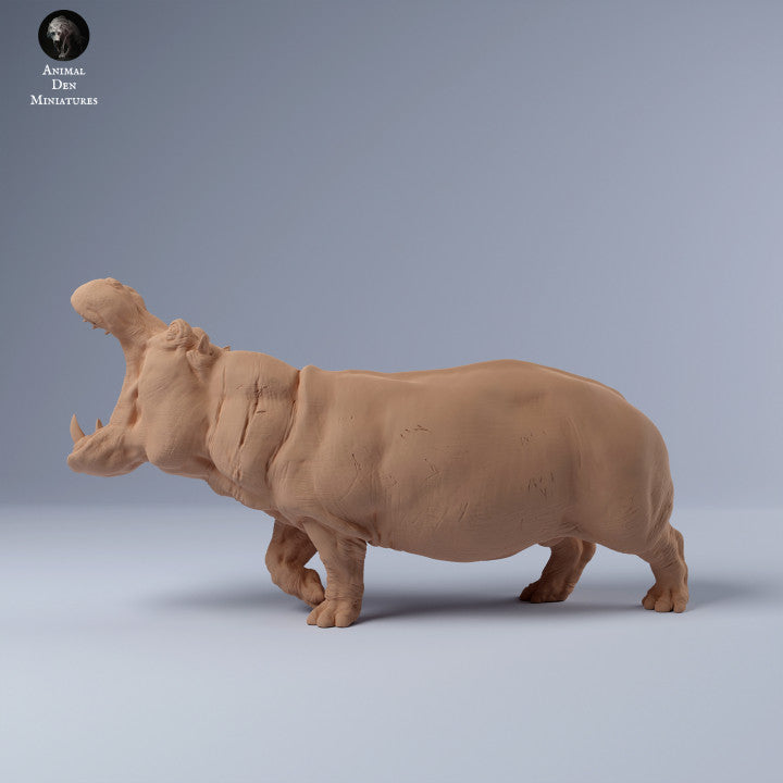 Hippo