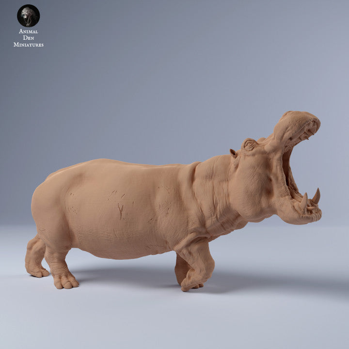 Hippo