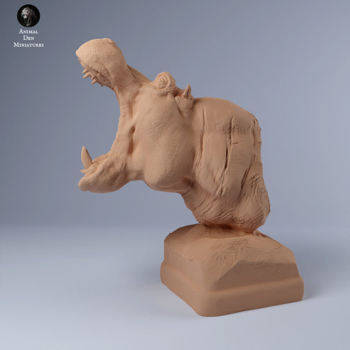 Hippo Bust