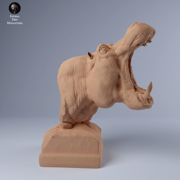 Hippo Bust
