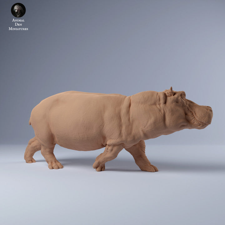 Hippo Run