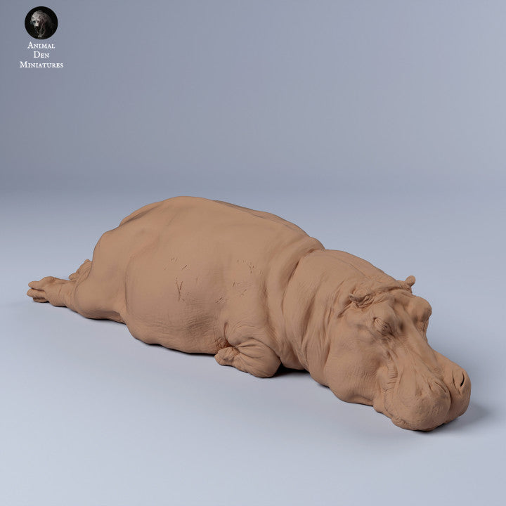 Hippo Sleep