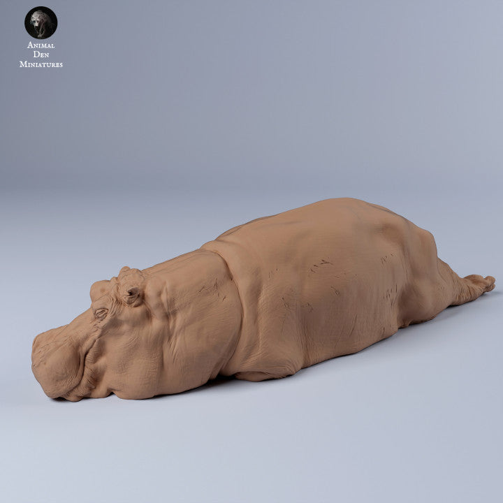 Hippo Sleep
