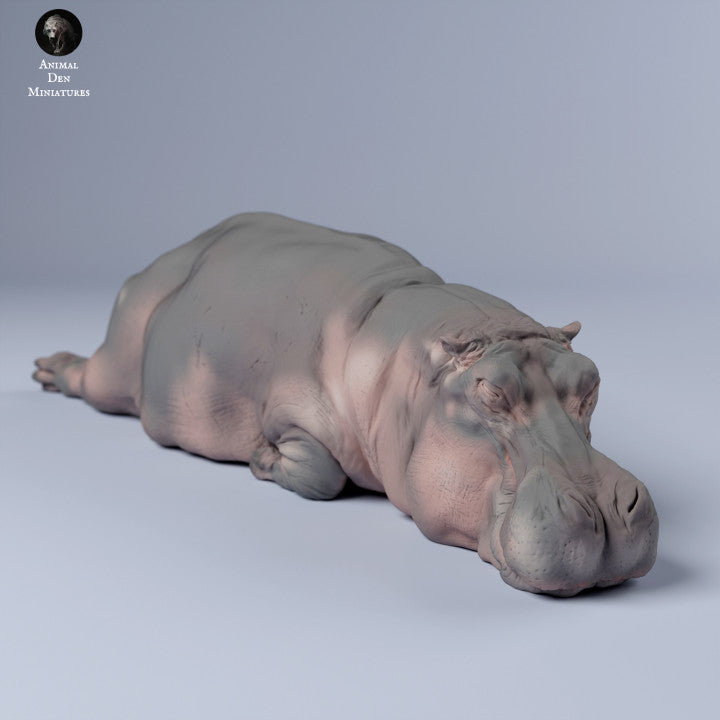 Hippo Sleep