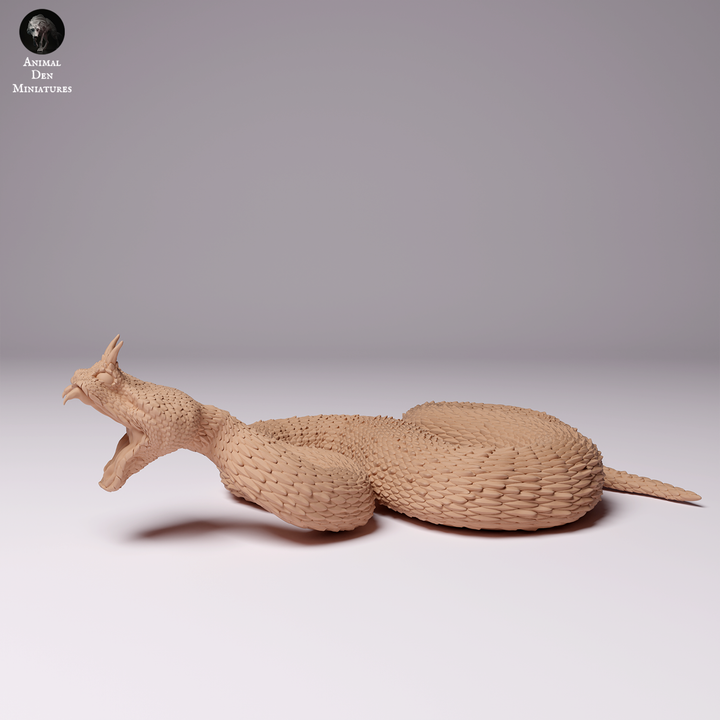 Saharan Horned Viper Attack