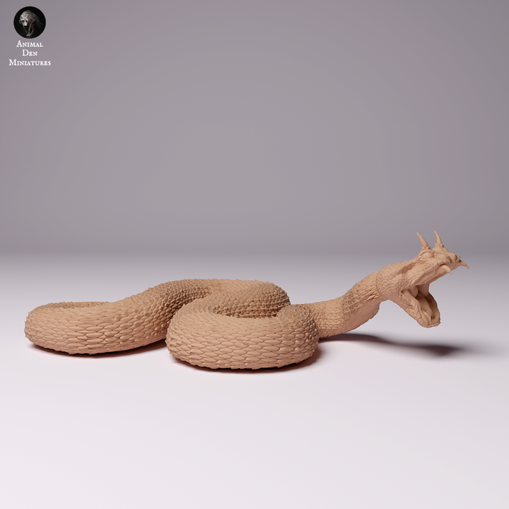 Saharan Horned Viper Attack