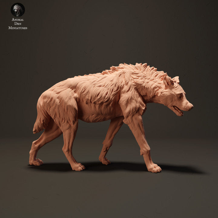 Spotted Hyena
