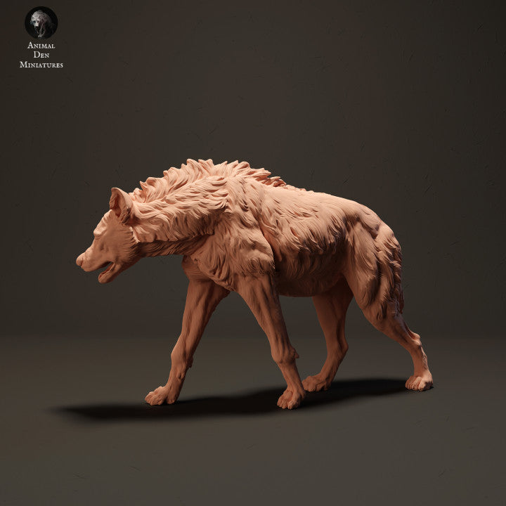 Spotted Hyena