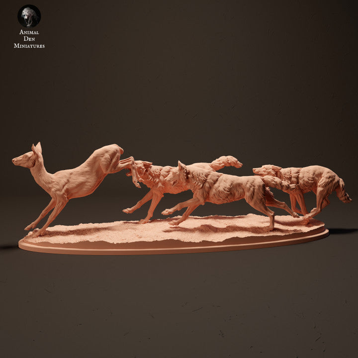 Iberian Wolves Hunting Roe Deer