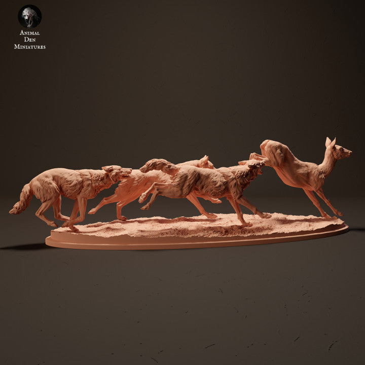 Iberian Wolves Hunting Roe Deer